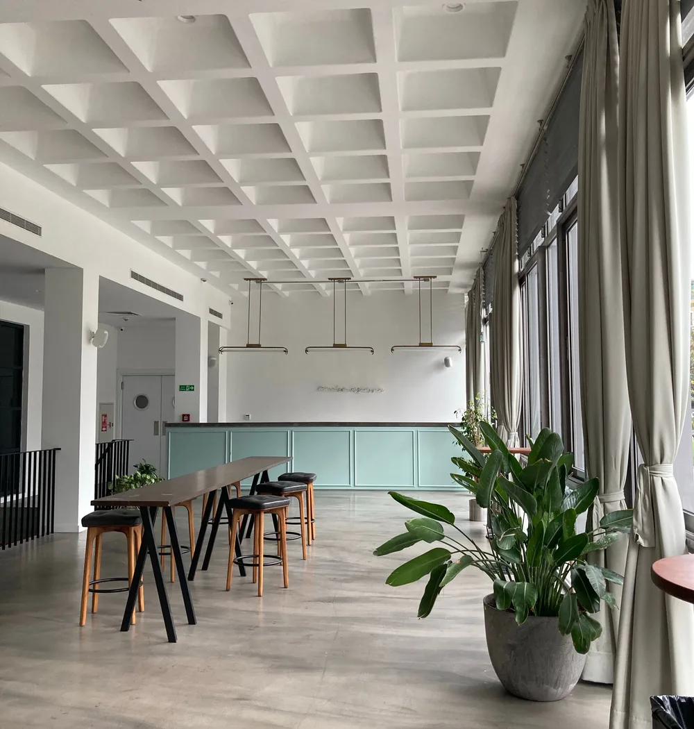 Espacio de trabajo profesional con luz natural